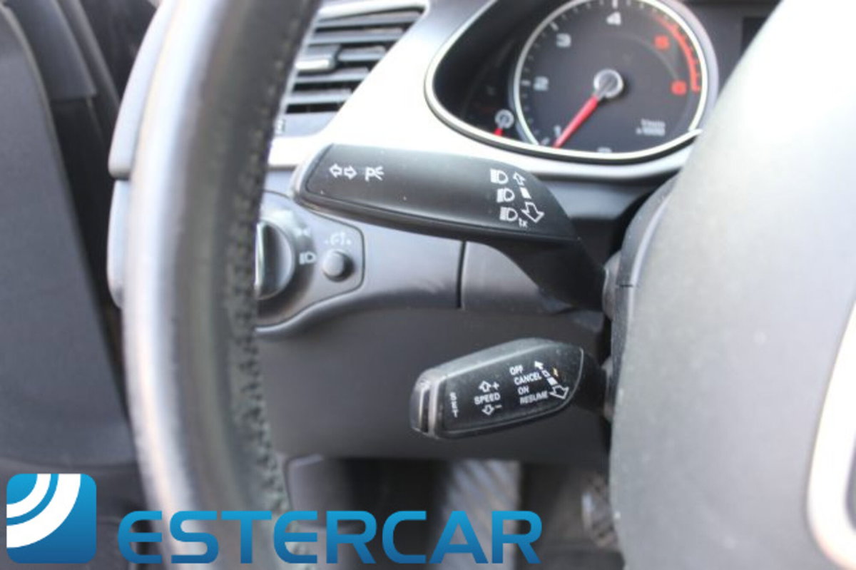 Audi A4 Avant 2.0 TDI 150 CV Advanced (20)