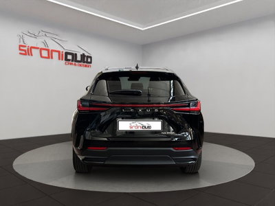Lexus NX 350h 2.5 Premium+ 4wd e-cvt (5)
