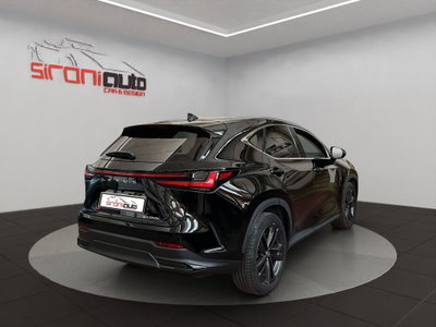 Lexus NX 350h 2.5 Premium+ 4wd e-cvt (7)