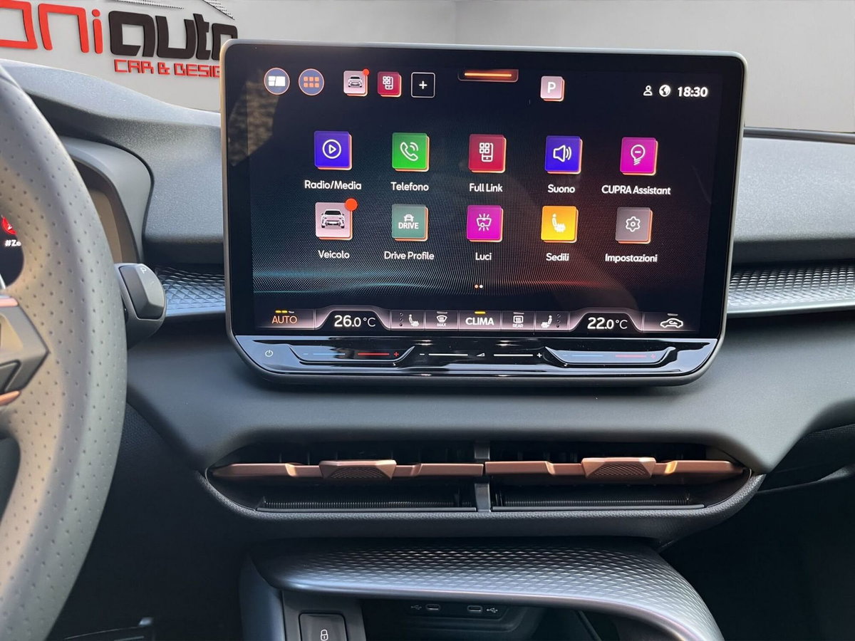 Cupra Terramar 1.5 hybrid 150cv dsg (16)