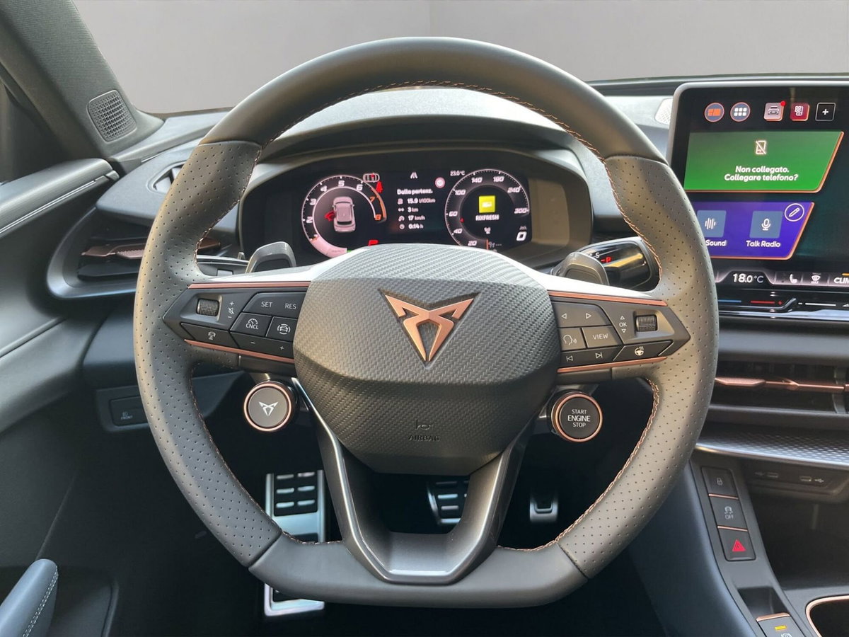 Cupra Terramar 1.5 hybrid 150cv dsg (13)