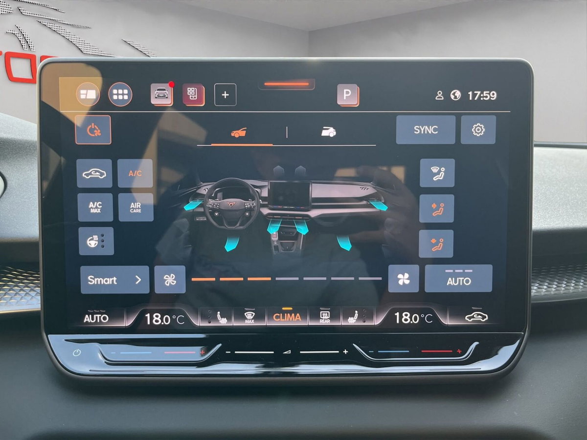 Cupra Terramar 1.5 hybrid 150cv dsg (20)
