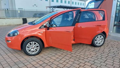 Fiat Punto 1.4 8V 5 porte Natural Power Young (16)
