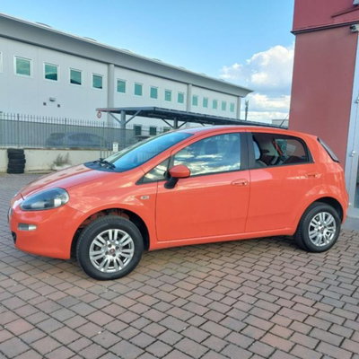 Fiat Punto 1.4 8V 5 porte Natural Power Young (4)