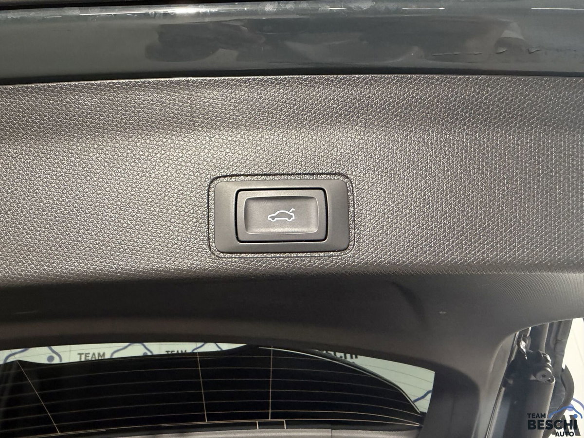 Cupra Terramar 1.5 hybrid 150cv dsg (18)