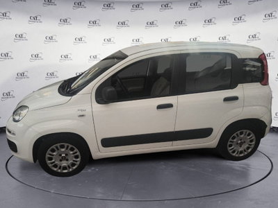Fiat Panda 1.2 Easy (2)