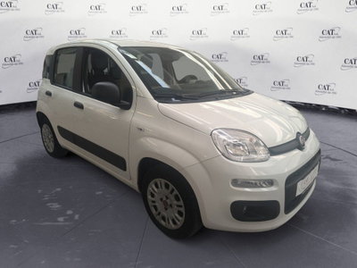 Fiat Panda 1.2 Easy (4)