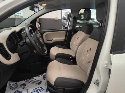 Fiat Panda 1.2 Easy (9)