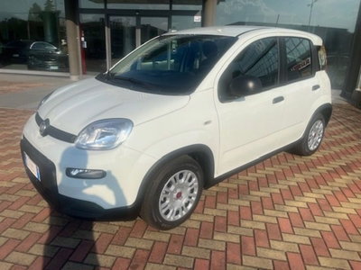 Fiat Panda 1.0 firefly hybrid s&s 70cv 5p.ti nuova