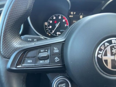 Alfa Romeo Stelvio Stelvio 2.0 Turbo 200 CV AT8 Q4 Super Business (13)