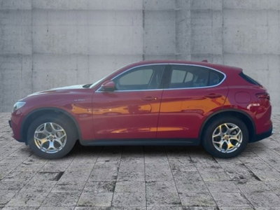 Alfa Romeo Stelvio Stelvio 2.0 Turbo 200 CV AT8 Q4 Super Business (6)