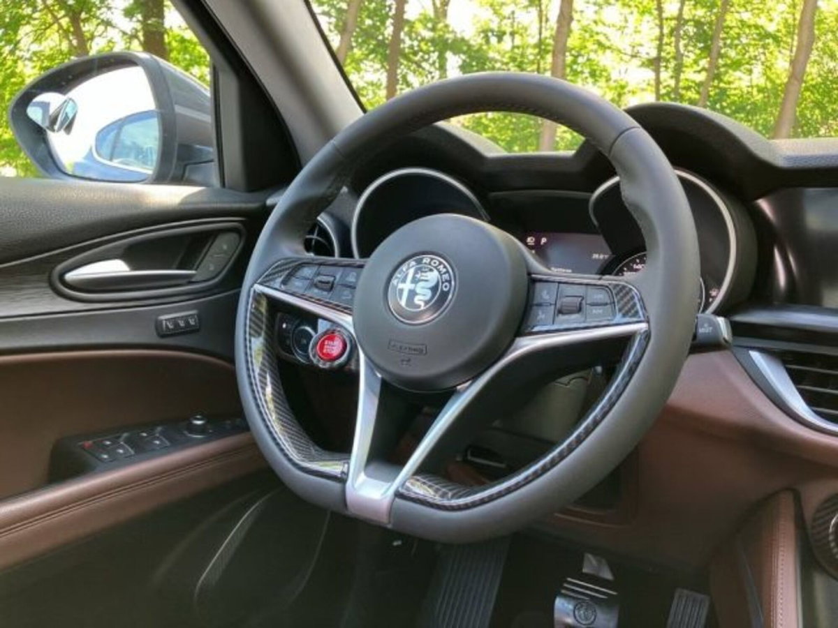 Alfa Romeo Stelvio Stelvio 2.0 Turbo 200 CV AT8 Q4 Super Business (15)