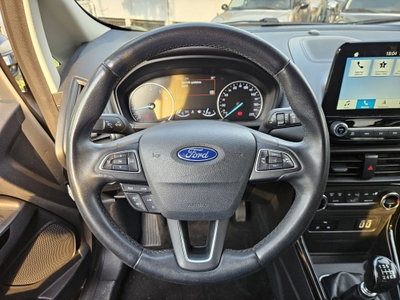 Ford EcoSport 1.0 EcoBoost 100 CV Business (13)