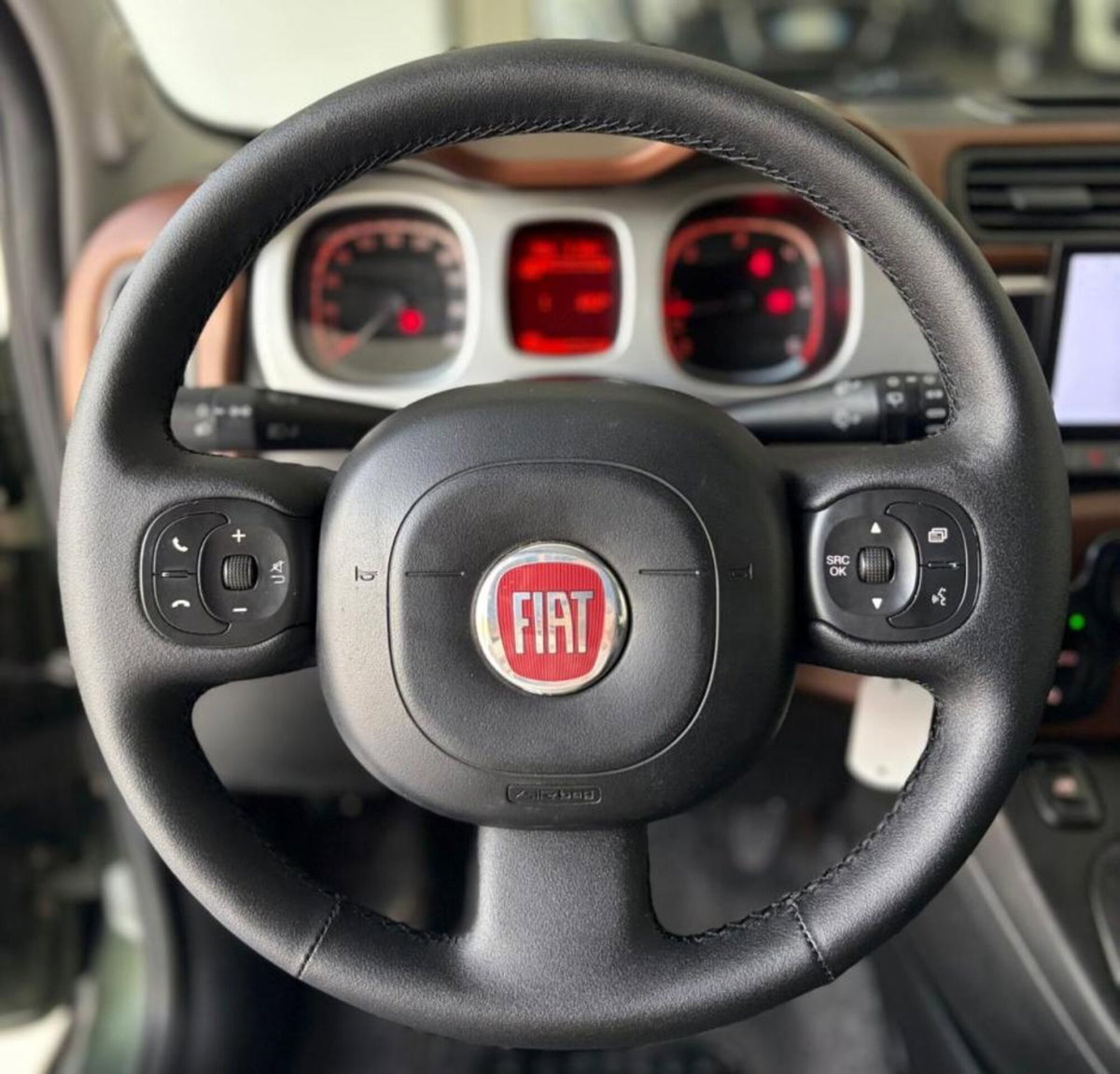 Fiat Panda 1.3 MJT 95 CV S&S 4x4 (11)