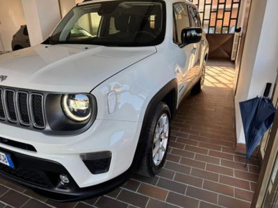 Jeep Renegade 1.0 T3 Limited (4)