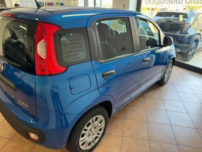Fiat Pandina van 1.0 Hybrid 65cv S&S Pop (5)