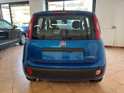 Fiat Pandina van 1.0 Hybrid 65cv S&S Pop (6)