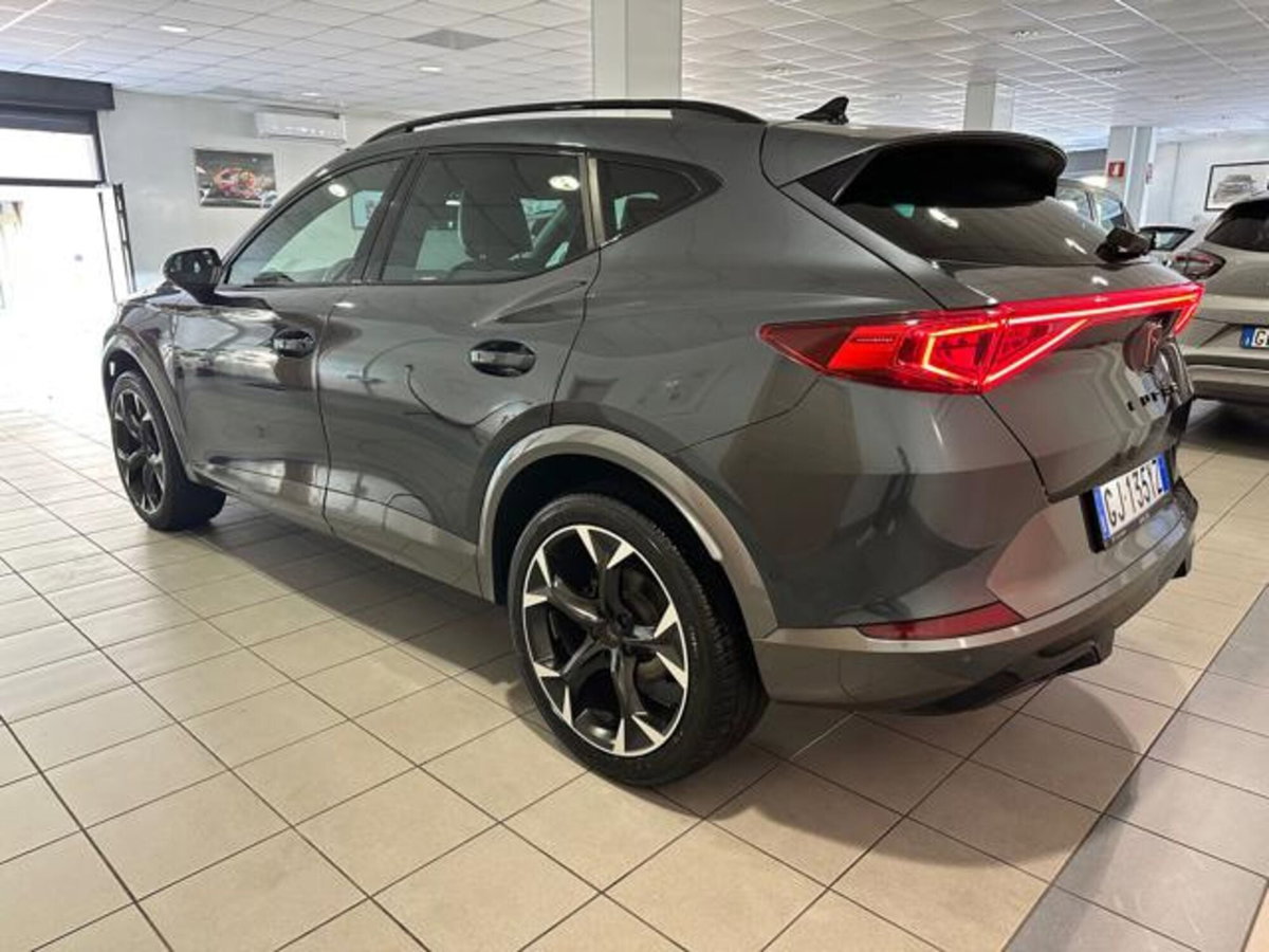 Cupra Formentor Formentor 2.0 TDI (13)