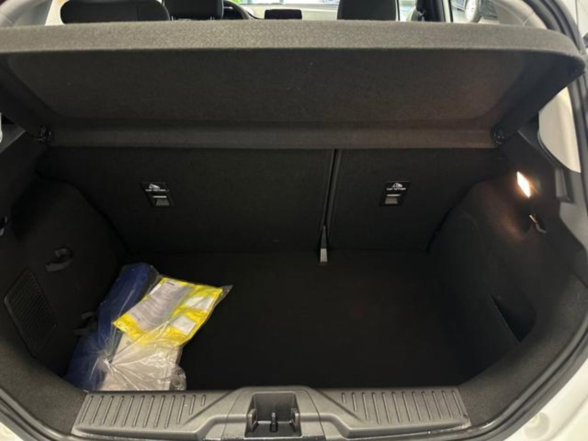 Ford Fiesta 1.5 EcoBlue 5 porte Business High (17)