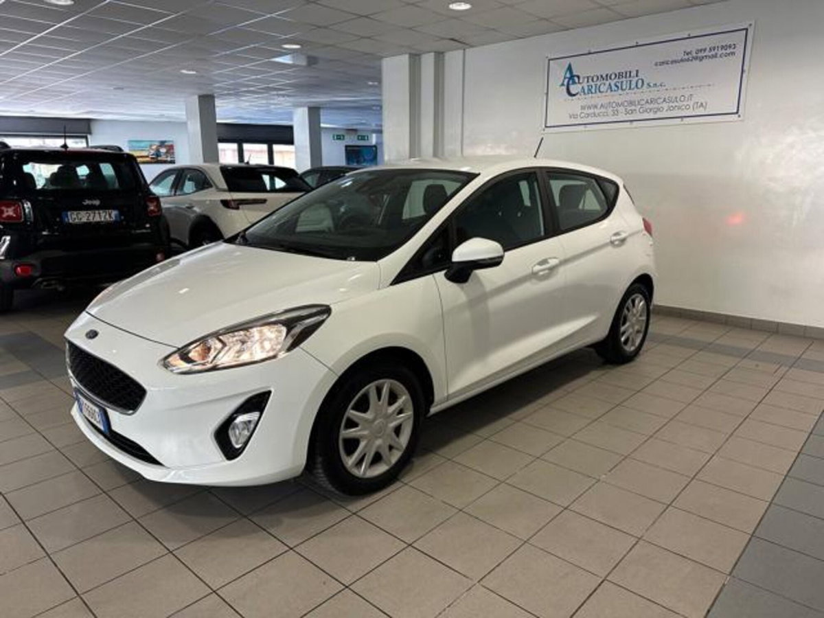 Ford Fiesta 1.5 EcoBlue 5 porte Business High (3)