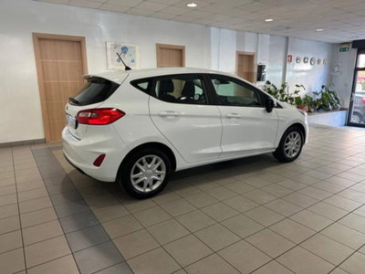 Ford Fiesta 1.5 EcoBlue 5 porte Business High (4)