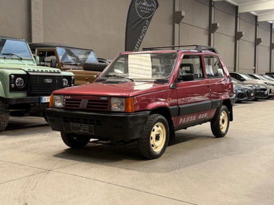 Fiat Panda 1000 4x4 Trekking usata