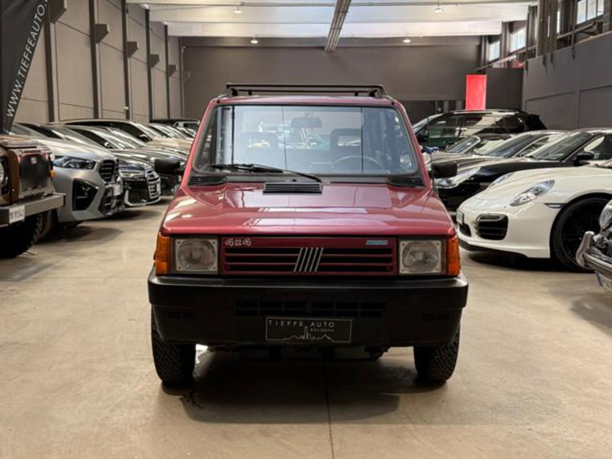 Fiat Panda 1000 4x4 Trekking (2)