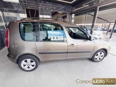 Skoda Roomster TDI CR 75CV Active (8)