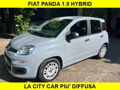 Fiat Panda 1.0 firefly hybrid s&s 70cv 5p.ti usata
