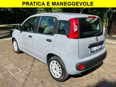 Fiat Panda 1.0 firefly hybrid s&s 70cv 5p.ti (2)