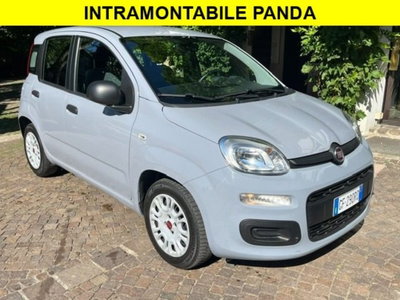 Fiat Panda 1.0 firefly hybrid s&s 70cv 5p.ti (3)