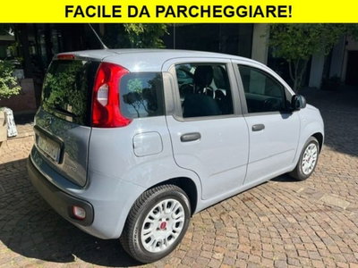 Fiat Panda 1.0 firefly hybrid s&s 70cv 5p.ti (4)