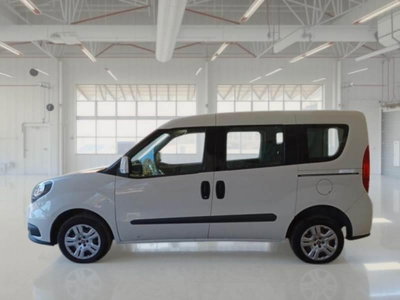 Fiat Doblò cargo combi N1 1.3 mjt 95cv CH1 Easy S&S (4)