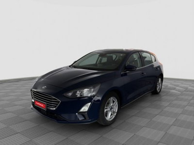Ford Focus 1.5 EcoBlue 120 CV 5p. Business usata