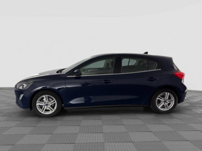 Ford Focus 1.5 EcoBlue 120 CV 5p. Business (2)