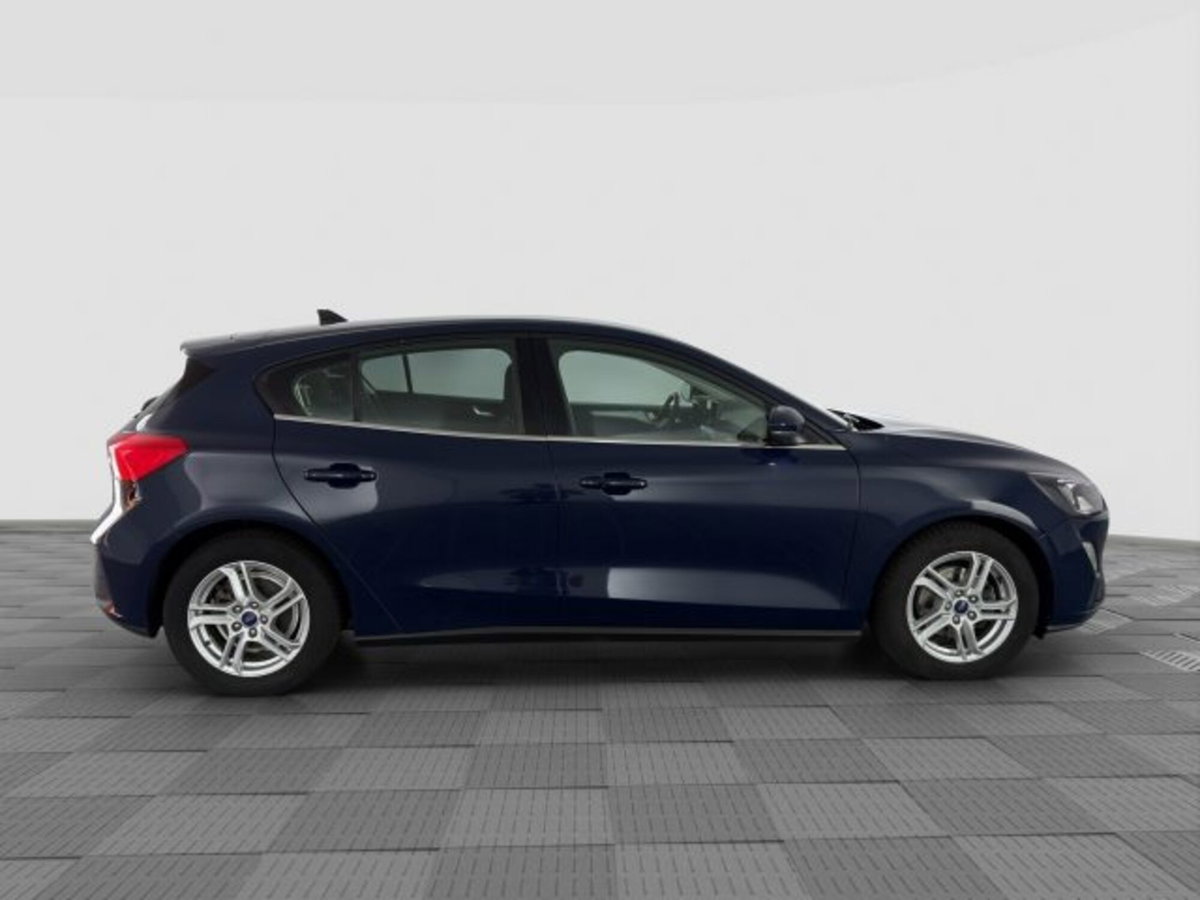 Ford Focus 1.5 EcoBlue 120 CV 5p. Business (6)