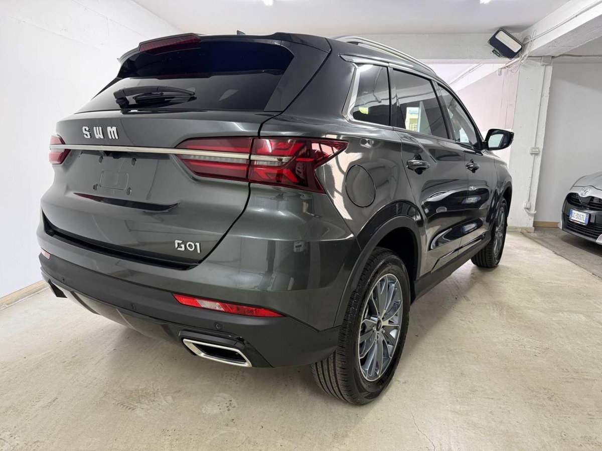 SWM G01 G01 1.5 133cv mt (4)