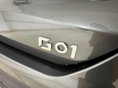 SWM G01 G01 1.5 133cv mt (7)