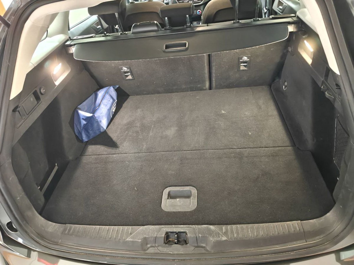 Ford Focus Station Wagon 1.5 EcoBlue 120 CV automatico SW Business (15)