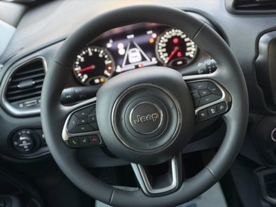 Jeep Renegade 1.6 Mjt 130 CV Limited (17)