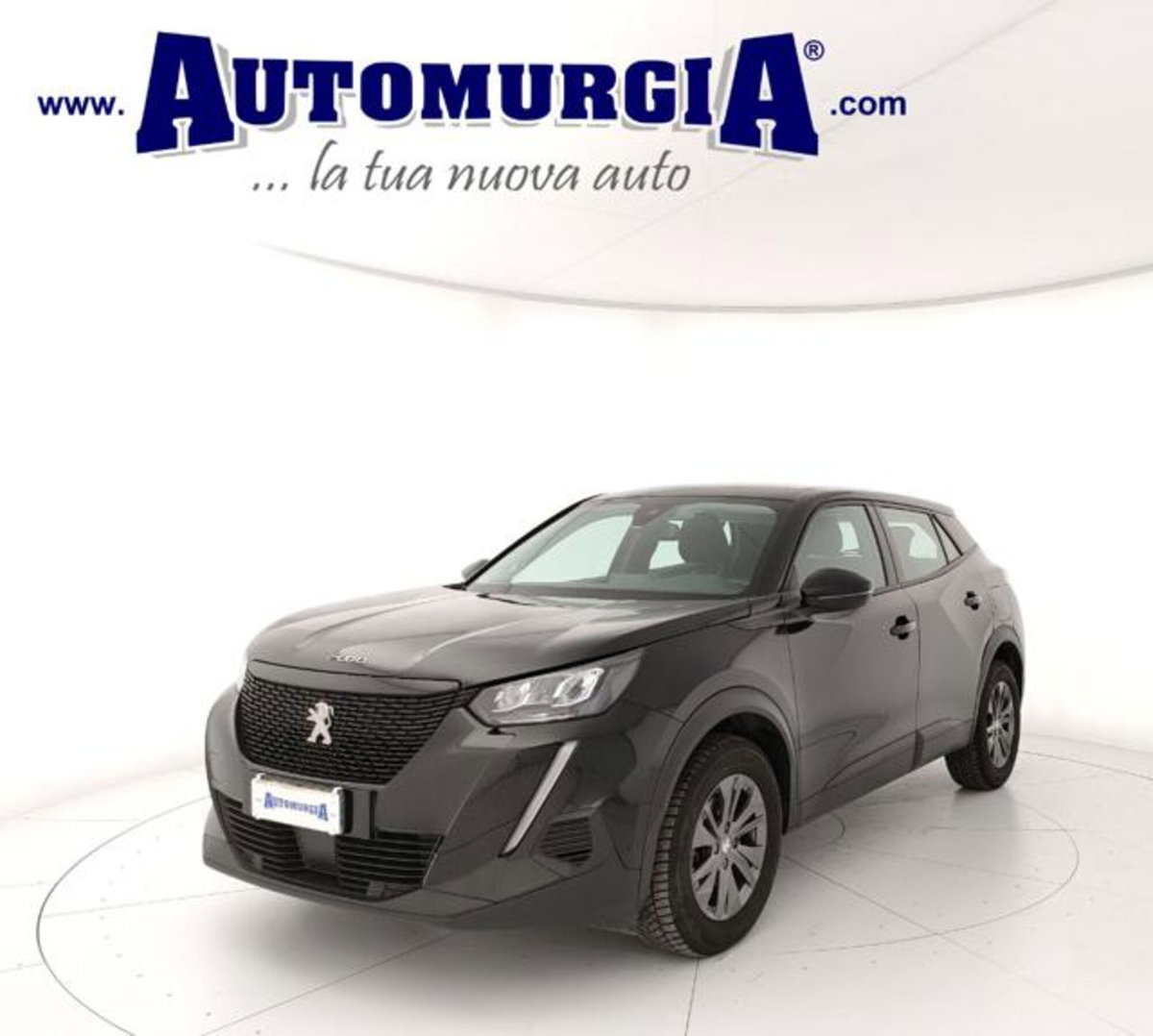 Peugeot 2008 BlueHDi 110 S&S Active Pack (2)