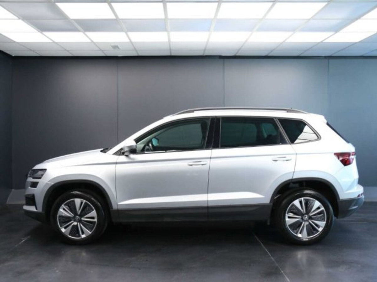 Skoda Karoq 2.0 TDI EVO SCR 115 CV DSG Executive (10)