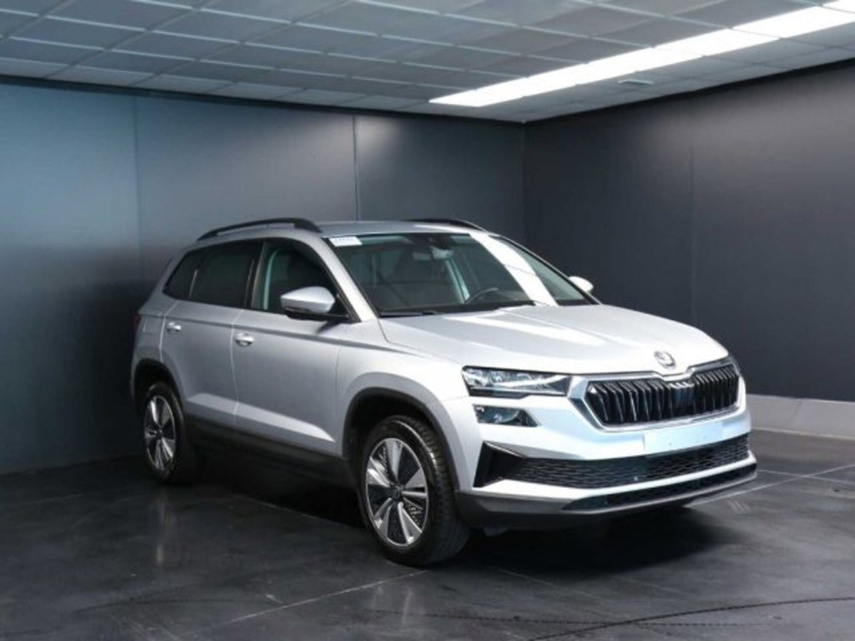 Skoda Karoq 2.0 TDI EVO SCR 115 CV DSG Executive (2)