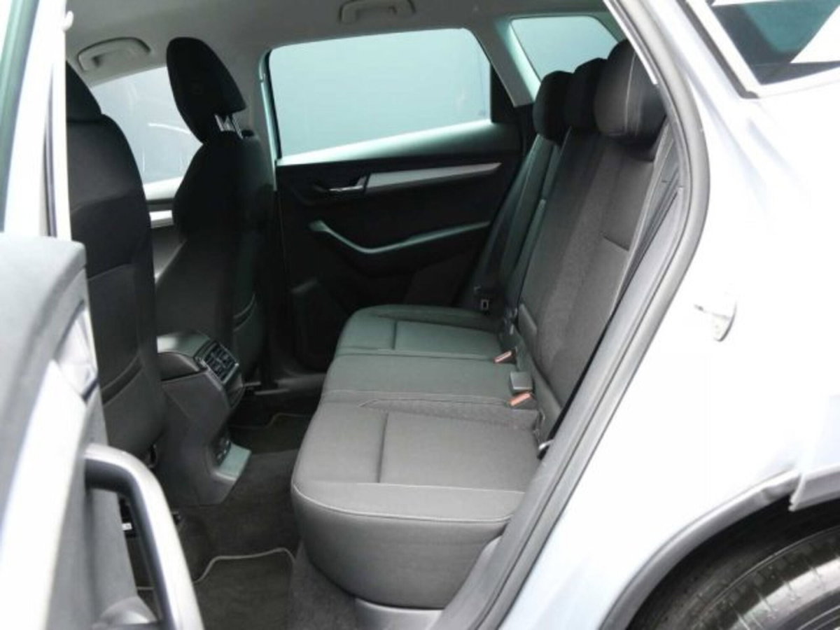 Skoda Karoq 2.0 TDI EVO SCR 115 CV DSG Executive (5)