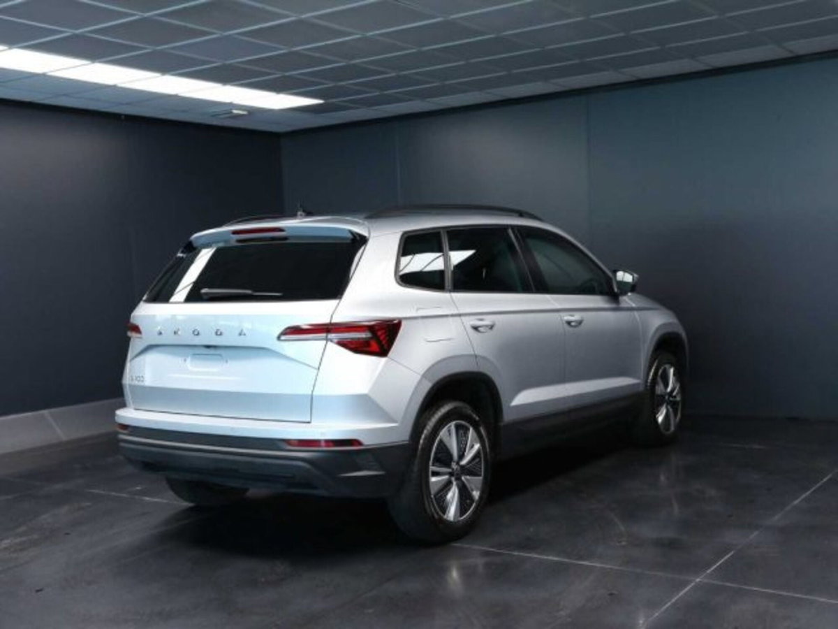 Skoda Karoq 2.0 TDI EVO SCR 115 CV DSG Executive (7)