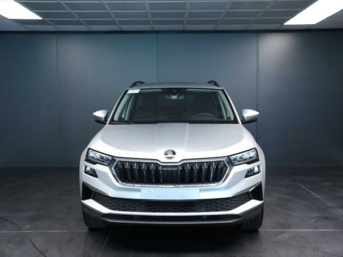 Skoda Karoq 2.0 TDI EVO SCR 115 CV DSG Executive (8)