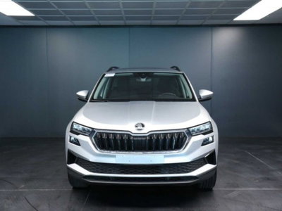 Skoda Karoq 2.0 TDI EVO SCR 115 CV DSG Executive (8)