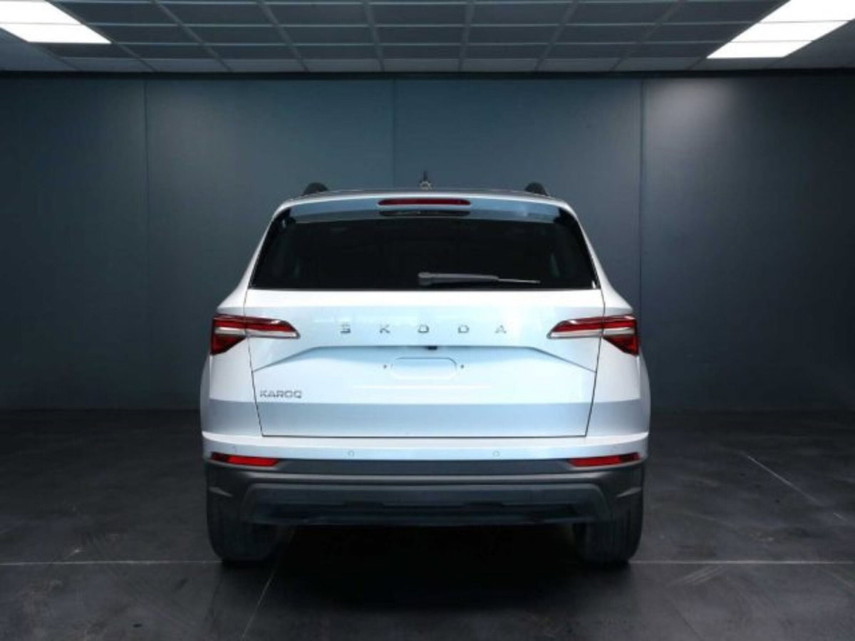 Skoda Karoq 2.0 TDI EVO SCR 115 CV DSG Executive (9)