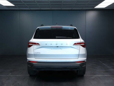 Skoda Karoq 2.0 TDI EVO SCR 115 CV DSG Executive (9)
