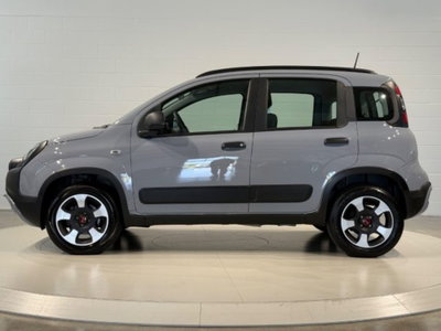 Fiat Panda Cross 1.0 firefly hybrid Cross s&s 70cv 5p.ti (2)